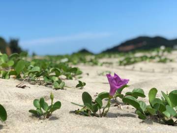 赣州红色地标打卡地点_赣州红色特色？